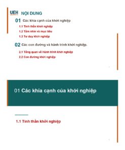 Alternative view of Slide bài giảng Khởi nghiệp kinh doanh